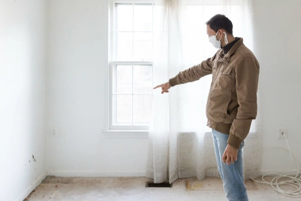Mold Inspector in Monroe Township, NJ