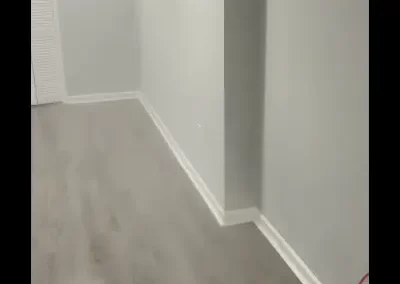 Reputable Mold Inspector