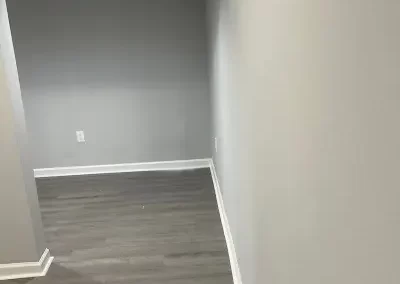 Trusted Mold Removal