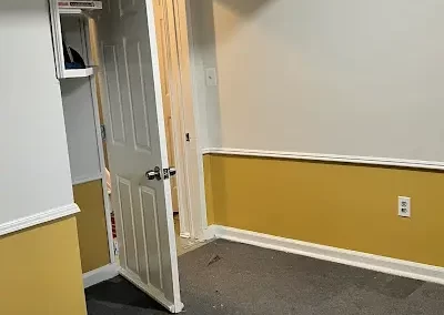 Trusted Mold Specialist